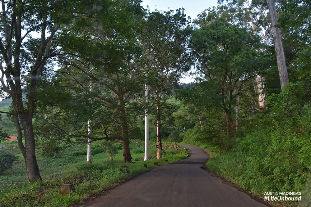 The windy road up the plateau