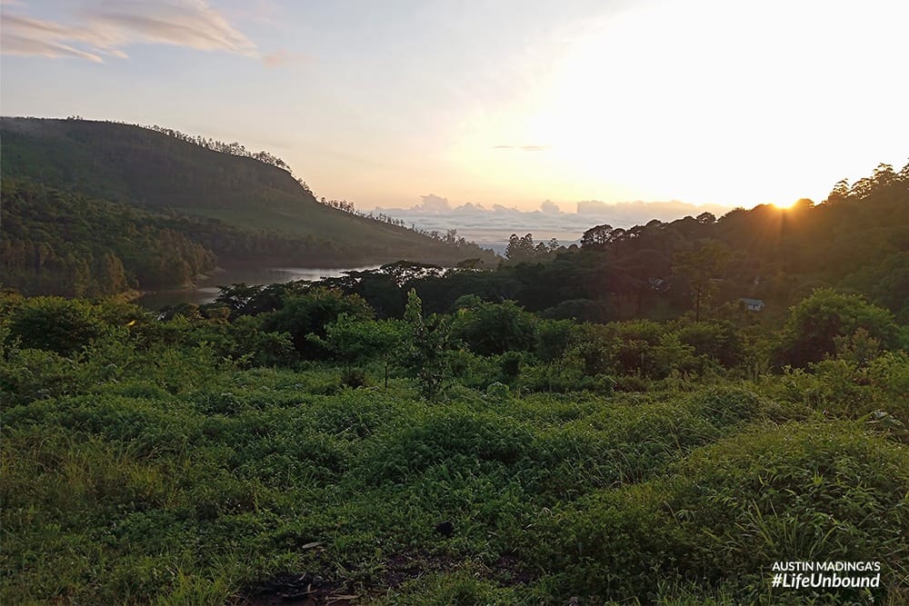 The Mulunguzi Dam at daybreak