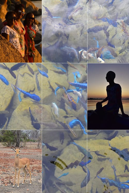 content development storytelling Utale Outdoor content development and storytelling services
