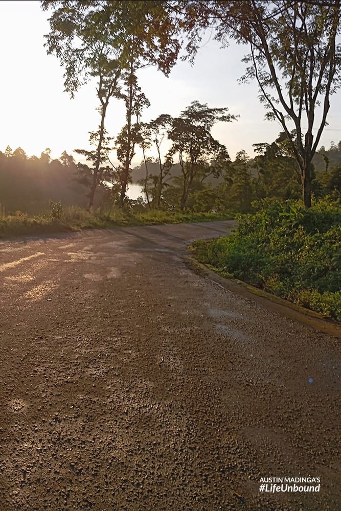 Mulunguzi Dam in the distance. The dam supplies Zomba city.