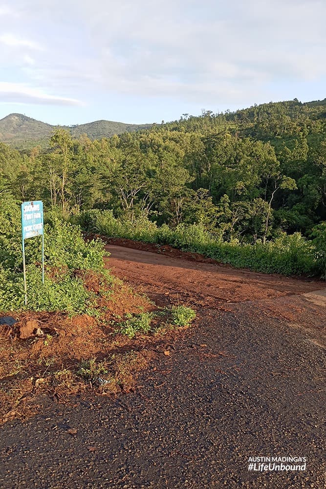 Zomba Plateau has various road and hiking trails