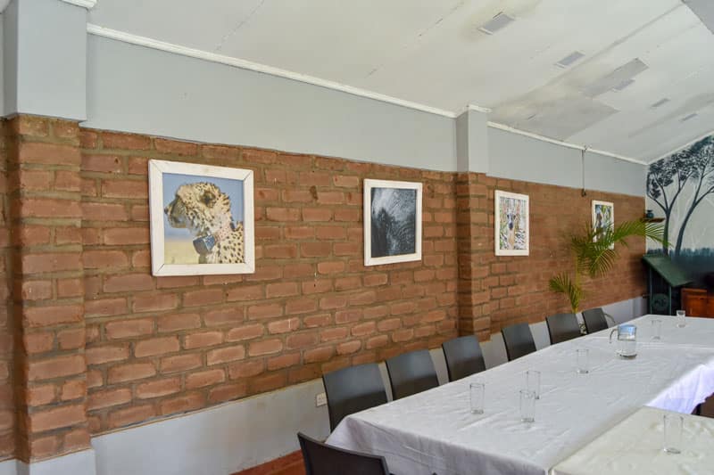 Meeting-area-at-Lilongwe-Wildlife-Trust.jpg
