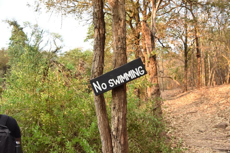 no-swimming.jpg