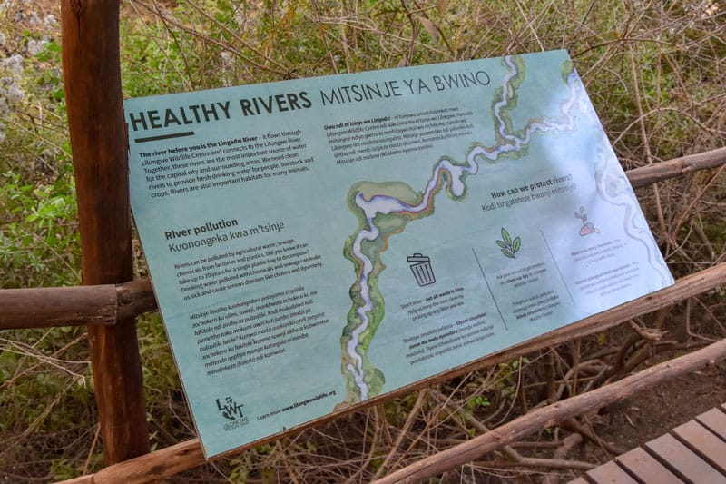 healthy-Lingadzi-river-billboard.jpg